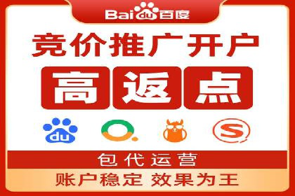 百度推广公司案例分享：如何通过百度推广实现持续增长